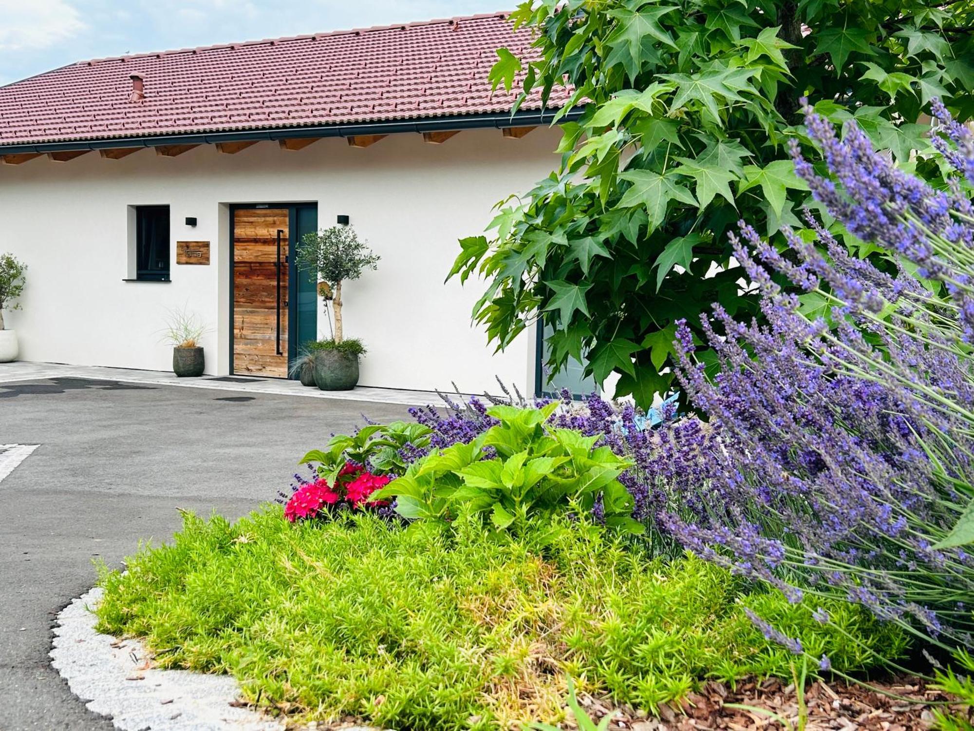 Villa Traumhaus In Den Weinbergen - Max 8 Personen - Mit Self-Check-In à Sankt Stefan ob Stainz Extérieur photo